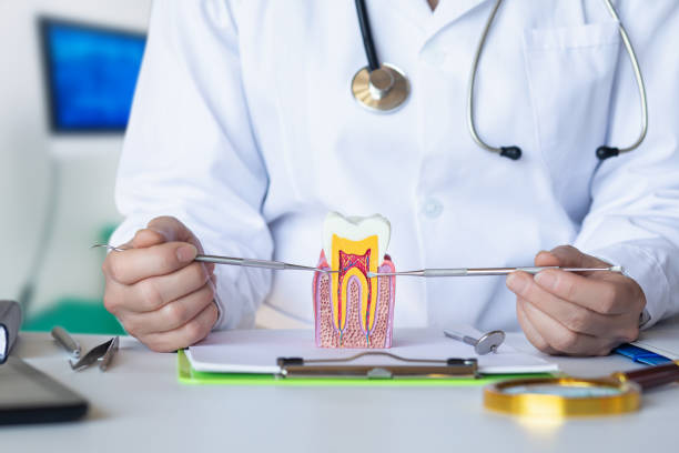 Best Walk-In Emergency Dentist in Merkel, TX